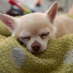 Разрушение депозитных барьеров в современной казино-индустрии