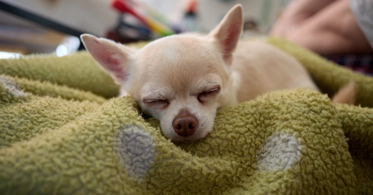 Разрушение депозитных барьеров в современной казино-индустрии